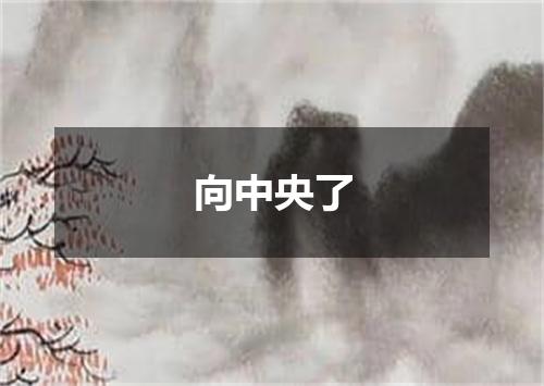 向中央了