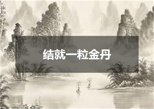 结就一粒金丹