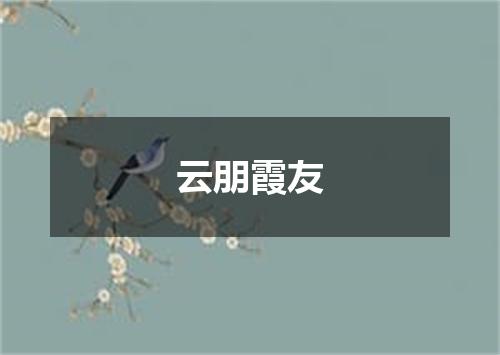 云朋霞友