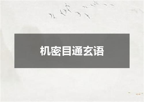 机密目通玄语