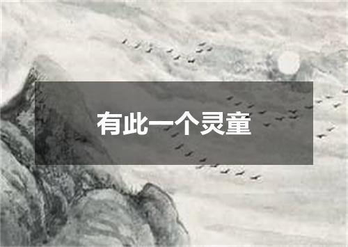 有此一个灵童