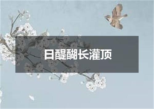 日醍醐长灌顶