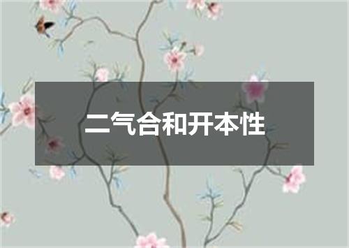 二气合和开本性