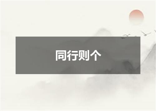 同行则个