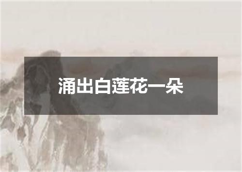 涌出白莲花一朵