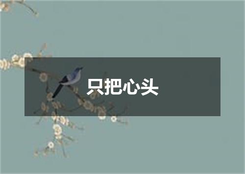 只把心头