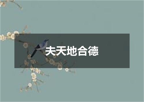 夫天地合德