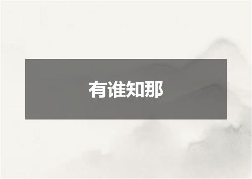 有谁知那