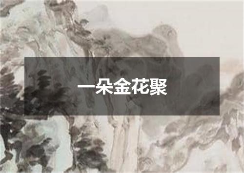 一朵金花聚