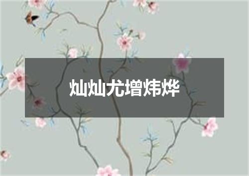 灿灿尤增炜烨