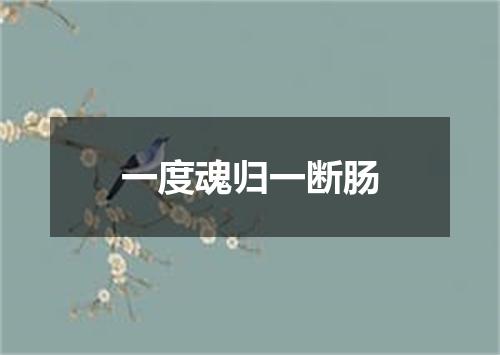 一度魂归一断肠