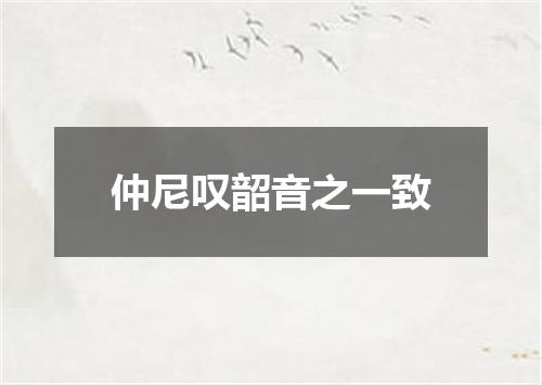 仲尼叹韶音之一致
