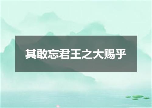 其敢忘君王之大赐乎