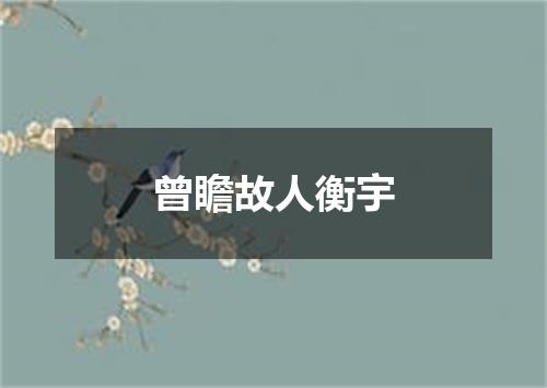 曾瞻故人衡宇