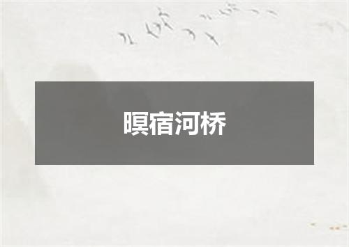 暝宿河桥