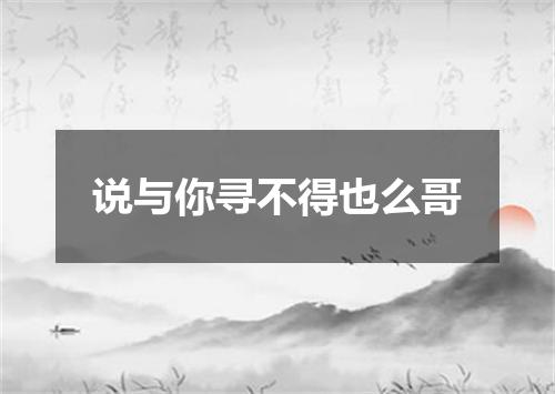 说与你寻不得也么哥