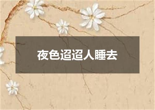 夜色迢迢人睡去