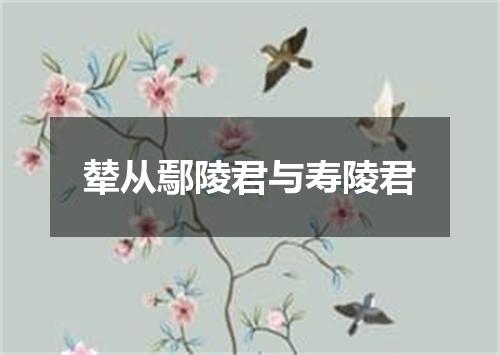 辇从鄢陵君与寿陵君