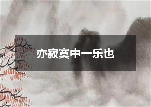 亦寂寞中一乐也