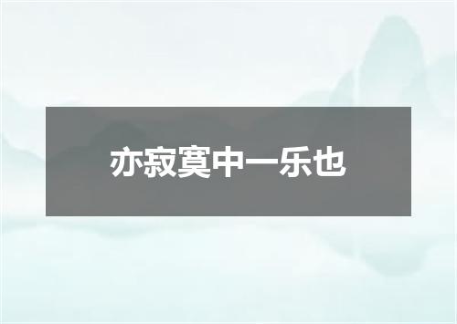 亦寂寞中一乐也