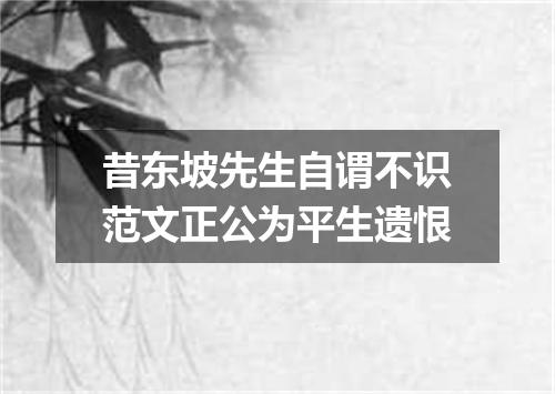 昔东坡先生自谓不识范文正公为平生遗恨