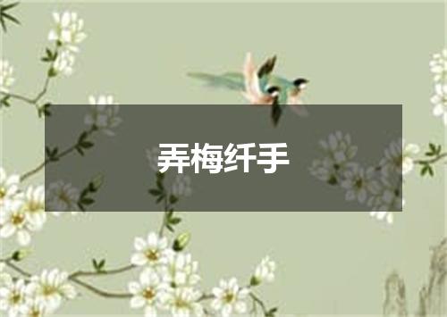 弄梅纤手
