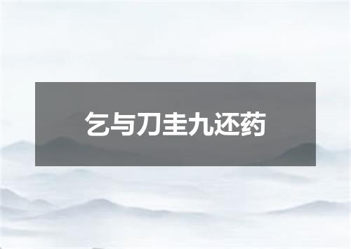 乞与刀圭九还药