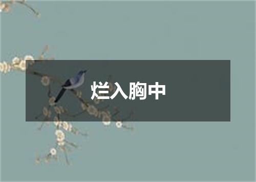 烂入胸中