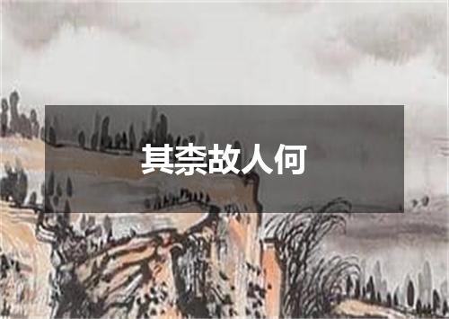 其柰故人何