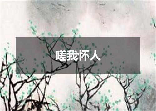 嗟我怀人