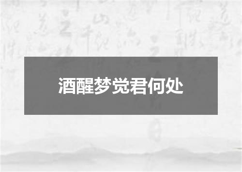 酒醒梦觉君何处