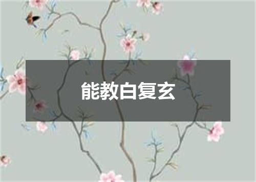 能教白复玄