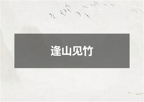 逢山见竹