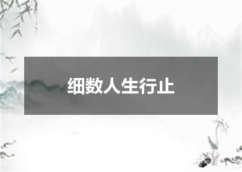 细数人生行止