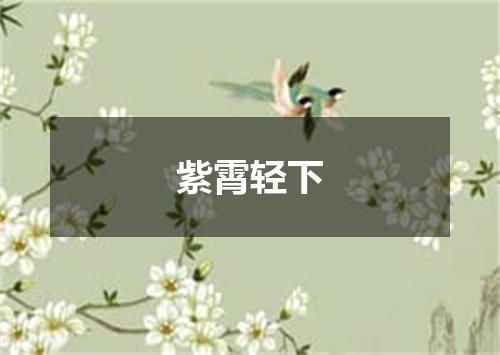 紫霄轻下