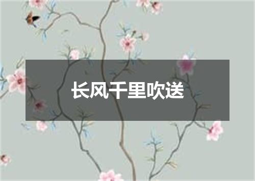 长风千里吹送