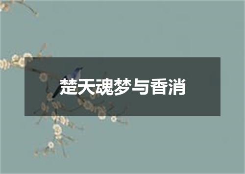 楚天魂梦与香消
