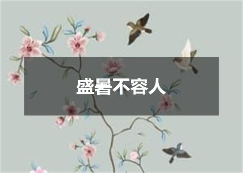 盛暑不容人