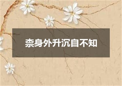 柰身外升沉自不知