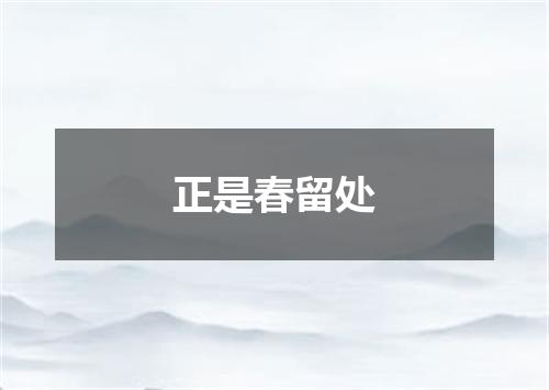 正是春留处