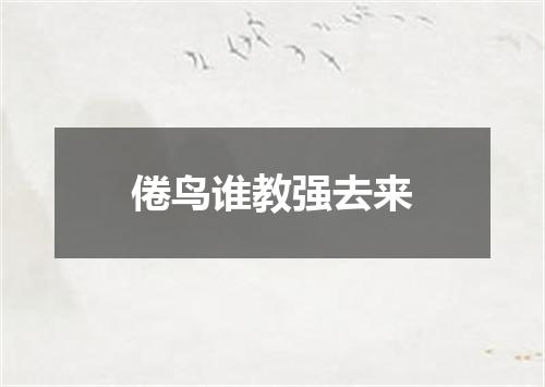 倦鸟谁教强去来