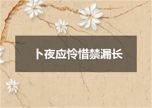 卜夜应怜惜禁漏长