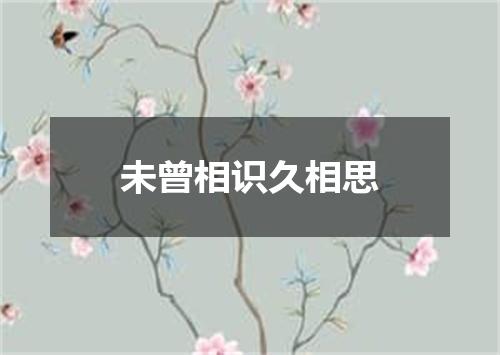 未曾相识久相思