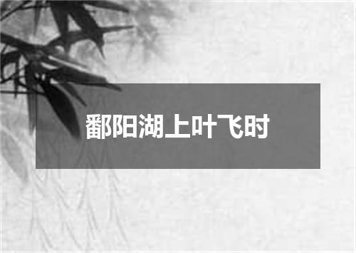 鄱阳湖上叶飞时