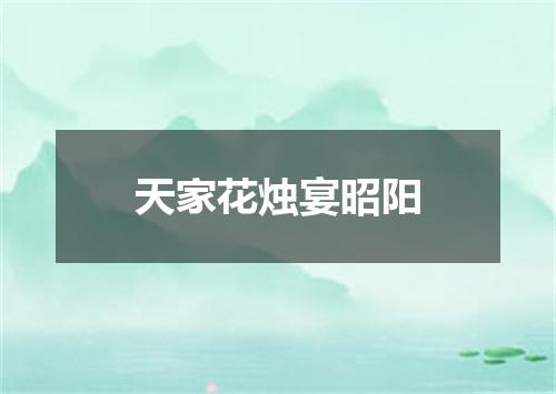 天家花烛宴昭阳