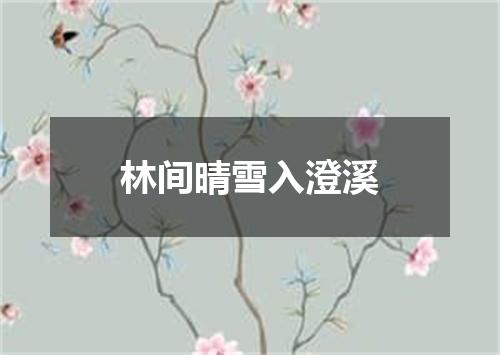 林间晴雪入澄溪