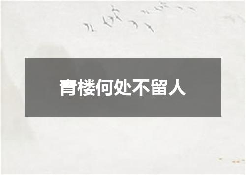青楼何处不留人