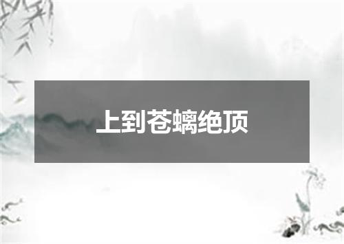 上到苍螭绝顶