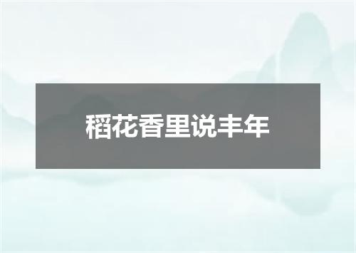 稻花香里说丰年