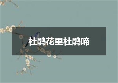 杜鹃花里杜鹃啼